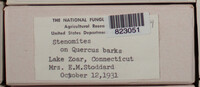 Image Associated With the Occurence